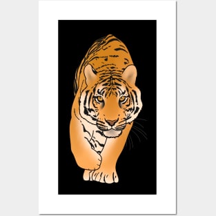 Tiger Stalking, Big Cat, Love Tigers Posters and Art